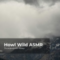 Howl Wild ASMR