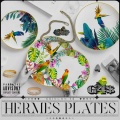 HERMÈS PLATES (Explicit)
