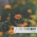 小汉堡哦 - 遗憾-是你大哥阿