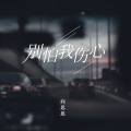 向思思 - 别怕我伤心