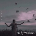 胡十三 - 雨是神的烟花