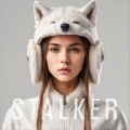 Kando - Stalker