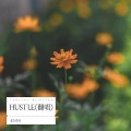 张左卓灵 - HUSTLE
