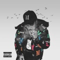 Maxx P - On The Run For The Money (Explicit)