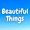 Kayhin - Beautiful Things (Marimba)