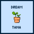 Dream