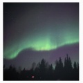 northern lights (feat. Mree & Henri Bardot)