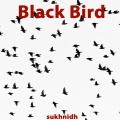 Limon Ahmed、Sukhnidh - Black Bird