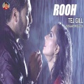Rooh (Tej Gill Slowed And Reverb)