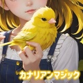 カナリア - pricing