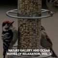 Nature Gallery and Ocean Waves of Relaxation, Vol. 3