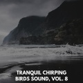 Tranquil Chirping Birds Sound, Vol. 8