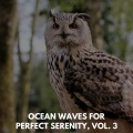 Ocean Waves for Perfect Serenity, Vol. 3