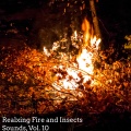 Realxing Fire and Insects Sounds, Vol. 10