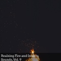 Timmothy Lewis - Peaceful Fire at Night
