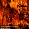 Enlai Chen - Mountain Fire Flaming Movements
