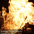 Pamela Grand Nature Collective - Burning Fire Sounds