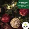 Step into Winters - Relaxing Nature Music for Holidays, Vol. 3