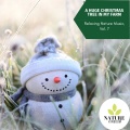 Emma Scott Nature Studio - Spring Birdsong for Rejuvenating Ambiance