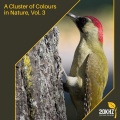 Mia Petrov Sleep Nature Collective - Jumbo Woodland Fire Noise
