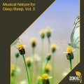 Eric Library of Nature Sounds - Crackling by the Oceanshore