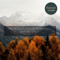 Sean Calmness Studio - Pack of Wolves