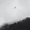 Knxwledge、LarryBeats1999 - Never Fall (Explicit)