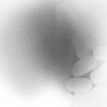 Violet Orlandi - My Medicine