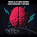 Concentración - Orientación