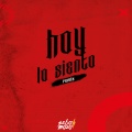 Hoy Lo Siento (Remix)