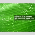 Julian Nature Sonics - Dedication of Light Rain