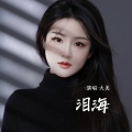 大美 - 泪海