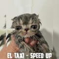 El Taxi (Speed Up) [Remix]