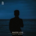 Wasted Love