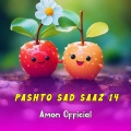 Pashto Sad Saaz 14