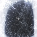 toxiphoric - Toxiphoric
