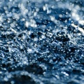 Regen zum Schlafen、Regen Sounds、Regengeräusche Orchester von TraxLab - Rainforest