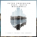 Peter Posession - I Don't Think You Worry (Remix)