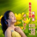 周瑞玲（凌子） - 我在花丛中等你来