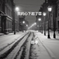 我的心下起了雪 (日本动画片版)