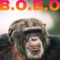 Roosterphinn - B.O.B.O