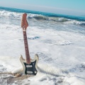 Beach Technique - Bottled