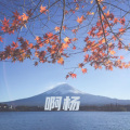 郑杨芳 - 人生没有过不去的坎
