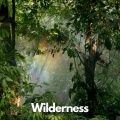 Bilingual - Wilderness