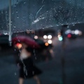 柒夏、风起 - 你是否也在想我