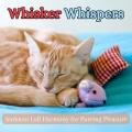 Pet Sandman、Relax My Kitten、Cat Music Dreams - Dreamscape Symphony: Lofi for Cat Dreams