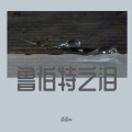 沐染mr - 鲁伯特之泪