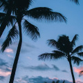 小九 - 蓝