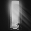 Justin Harper Bowman - Solace