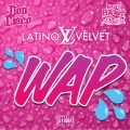 Latino Velvet、Don Cisco - WAP (feat. Don Cisco)(Explicit)